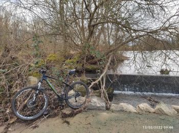 Trail Mountain bike Chalette-sur-Loing - 2 eme sortie - Photo
