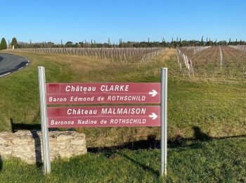 Tour Wandern Listrac-Médoc - LSG Listrac-Médoc jan 2020 - Photo