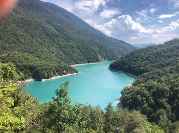 Randonnée Marche Avignonet - Avignonet descente au lac depuis le camping naturiste - Photo