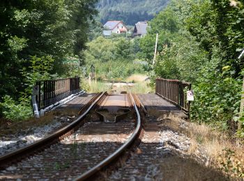 Percorso A piedi Naila - Marxgrüner Panoramaweg US 46 - Photo