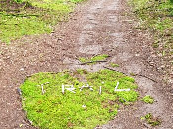 Trail Walking Ternuay-Melay-et-Saint-Hilaire - Ternuay.  - Photo