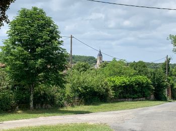 Trail Walking Cajarc - Etape14 Cajarc a Limogne en Quercy - Photo