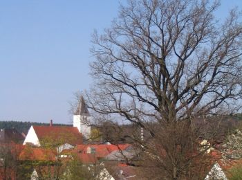 Percorso A piedi Teugn - S 04 Teugn - Haselspitz (Blaues Rechteck) - Photo