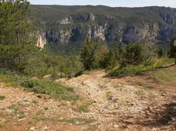 Percorso Altra attività Massegros Causses Gorges - circuit pour canyon Gorges du Tarn  les Paillasses - Photo