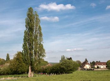 Trail Walking La Chapelle-Montligeon - La Chapelle-Montligeon - Moutiers-au-Perche via Bizou 20 km - Photo