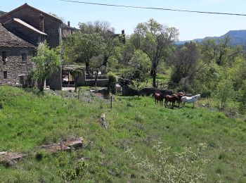 Tocht Stappen Aínsa-Sobrarbe - el grado Guaso Sierra puis voiture jusqu'à Sarratillo - Photo