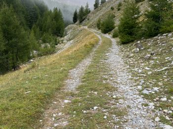 Tour Wandern Uvernet-Fours - Le Cimet - Photo