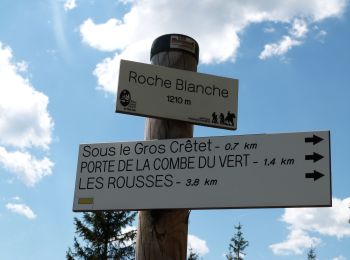Tour Wandern Les Rousses - Jura 2 - Photo