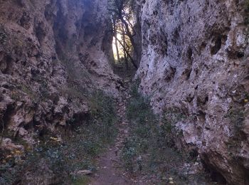Tocht Trail Belgentier - Les aiguilles de Valberg et une arche - Photo