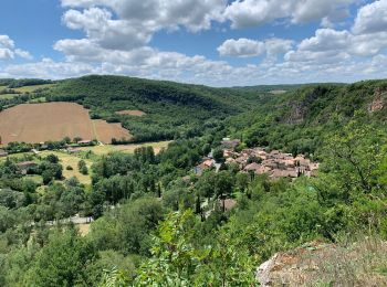 Trail Walking Puycelsi - Puycelsi - Photo