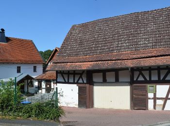 Tour Zu Fuß Weilrod - Eichenblatt - Photo