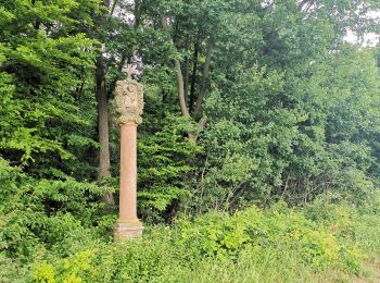 Percorso A piedi Rasdorf - Rasdorf - Rhön-Rundweg 2 - Photo