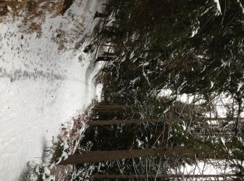 Tour Zu Fuß Engelskirchen - Loope Rundweg A2 - Photo