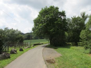 Trail On foot Baunatal - Baunatal-Guntershausen, Rundweg 3 - Photo