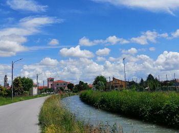 Tocht Te voet Montanera - Anello di Montanera - Photo