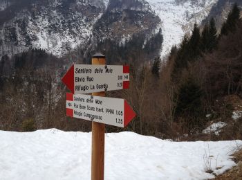 Randonnée A pied Recoaro Terme - Sentiero delle Mole - Photo