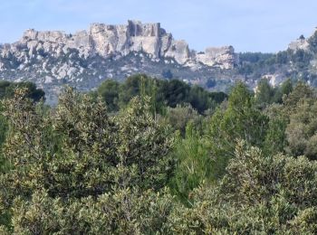 Randonnée Marche Les Baux-de-Provence - PF-Les Baux de Provence - Le Vallon des Amants par la piste des Lombards - DD - Photo
