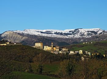 Tour Zu Fuß Monte Grimano Terme - IT-122 - Photo