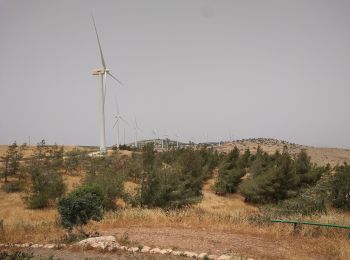 Randonnée A pied מועצה אזורית עמק המעיינות - IL-3535 - Photo