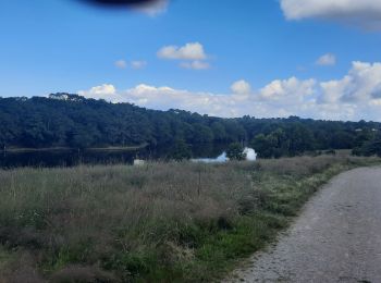 Tocht Hybride fiets Chaumes-en-Retz - Belle Épine lac de Pornic - Photo