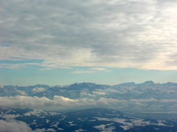 Trail On foot Zell (ZH) - Oberlangenhard - Hand - Photo