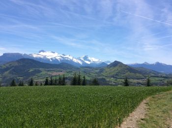 Tocht Stappen Treffort - Boucle de Treffort - Photo