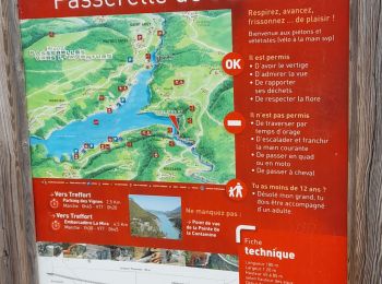 Excursión Senderismo Treffort - Passerelle d'Ebron - Photo