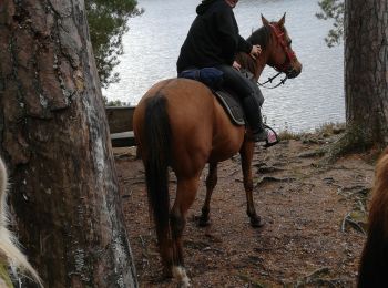 Trail Horseback riding Badonviller - badonviller avec les filles  - Photo