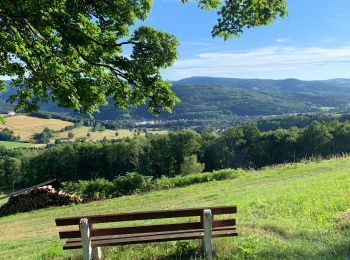 Trail Horseback riding Ban-de-Laveline - Ban de Laveline- Fraize - Photo