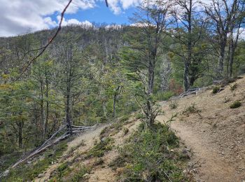 Trail Walking Chile Chico - Cerro Fosiles - Photo
