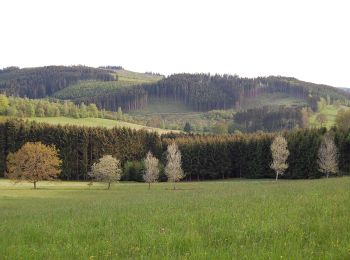 Randonnée A pied Hilchenbach - Jung-Stilling-Rundweg - Photo