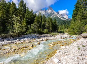 Tocht Te voet Canale d'Agordo - IT-E707 - Photo