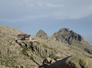 Randonnée A pied Pieve Tesino - Sentiero della Campagnassa - Photo