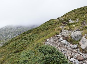 Trail On foot Vallorcine - Mont Buet - Photo