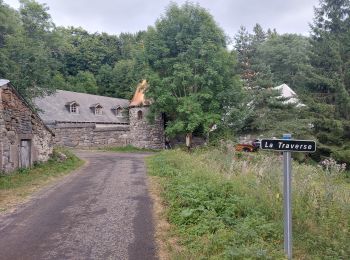 Tocht Stappen Marcenat - PR du tour du Bonjon - Photo