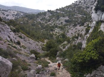 Randonnée Marche Marseille - tour de la grande candelle - Photo