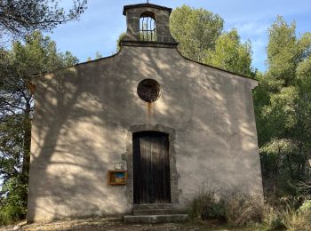 Trail Walking Bouc-Bel-Air - Bouc Bel-Air tour de la Gardure - Photo