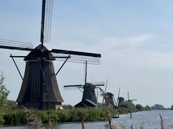 Percorso Bicicletta elettrica Dordrecht - Les moulins de Kinderdijk à Biesbosch - Photo