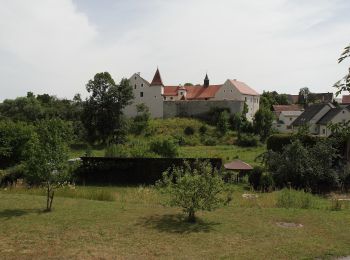 Excursión A pie Neukirchen bei Sulzbach-Rosenberg - Rundweg Holnstein Blau - Photo