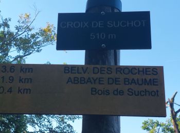 Trail Walking Hauteroche - RECULEE DE BAUME-LES-MESSIEURS  - Photo