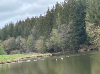 Excursión Paseo ecuestre Léglise - Assenois avec Clémence 1 - Photo