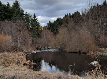 Tocht Stappen Mazet-Saint-Voy - Salettes et Mazalibran - Photo