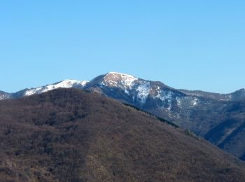 Randonnée A pied Mongiardino Ligure - Anello Borbera - Spinti 9° Tappa Costa Salata Mongiardino - San Fermo - Photo