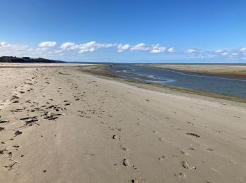 Tocht Stappen Hillion - Chemin Cotier  - Photo