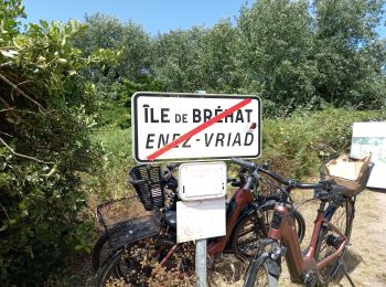 Excursión Senderismo Île-de-Bréhat - tour de Brehat  - Photo