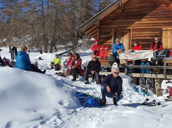 Tour Schneeschuhwandern Roubion - PIN POURRI - Photo