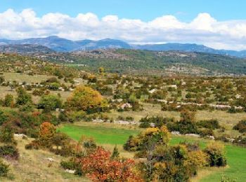 Tour Wandern Avèze - Vendredi 17 mai - Photo