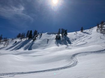 Randonnée Ski de randonnée Saint-Martin-Vésubie - Pointe des Adus  - Photo