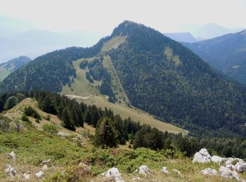 Excursión A pie Plateau-des-Petites-Roches - Tour de Pravouta - Photo
