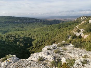 Randonnée Marche Thézan-des-Corbières - Cirque Viviès plateau Poursan - Photo